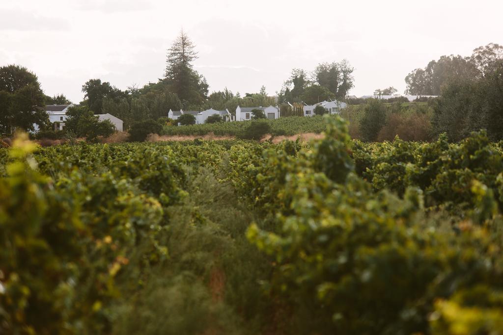 Leipzig Country House & Winery Nuy Exterior photo