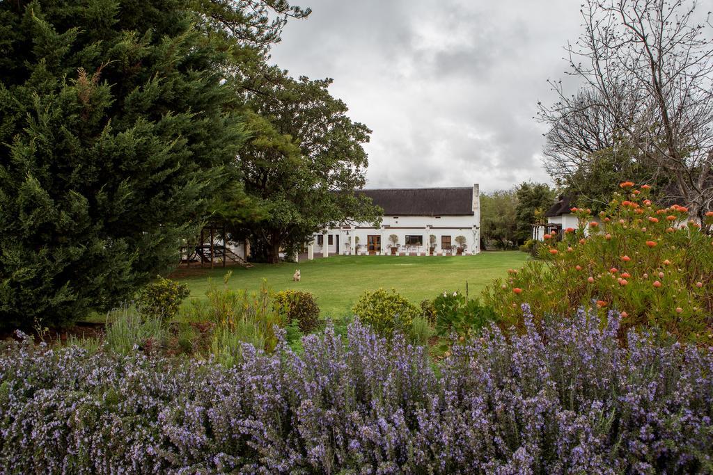 Leipzig Country House & Winery Nuy Exterior photo